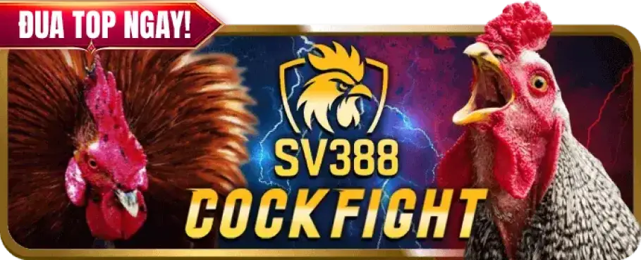 SV388-POPULAR-ALO789